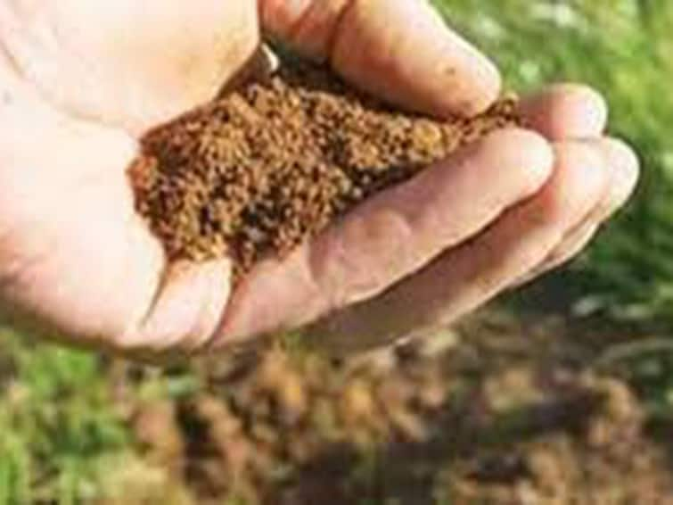 Soil samples should not be taken on crop lands: Assistant Director of Agriculture instructions Agriculture: ’பயிர்கள் உள்ள நிலங்களில் மண் மாதிரிகளை எடுக்காதீங்க..’ விவசாயிகளுக்கு வேளாண் உதவி இயக்குனர் அறிவுரை!