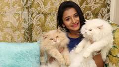 Jui Gadkari : मांजरप्रेमी जुई गडकरी! पडद्यावरची सायली घरी आहे मनीमाऊंची आई!