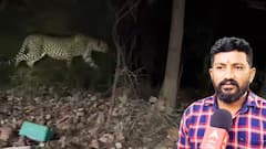 Tirumala Cheetah Attack Kaushik Father Reaction: అప్పుడు కాళ్లు, చేతులు ఆడలేదు..!