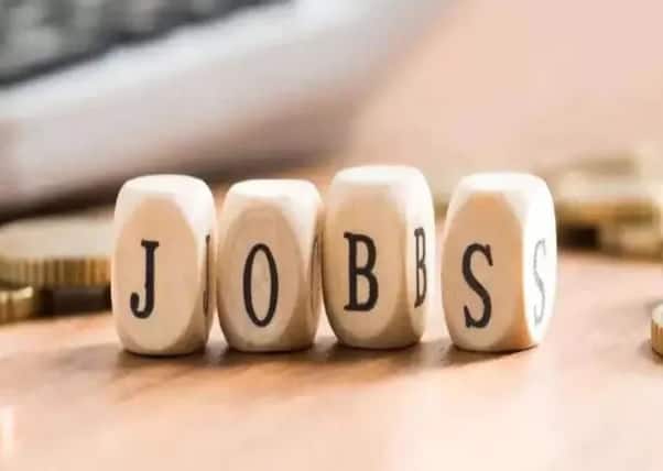 BPNL Recruitment : BPNL Recruitment for 3444 Surveyor Posts BPNL Recruitment : ધોરણ 10-12 પાસ માટે નોકરીની સોનેરી તક, 3444 પદો ભરવામાં આવશે
