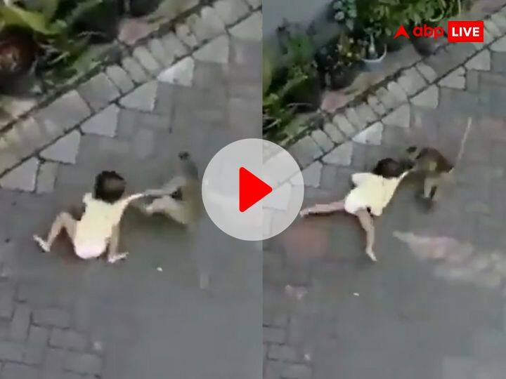 Monkey came riding bike and kidnapped child from street video viral Viral Video: बंदर बाइक चलाकर आया और बच्ची को किडनैप कर भागने लगा! Video देश उड़ जाएंगे आपके होश