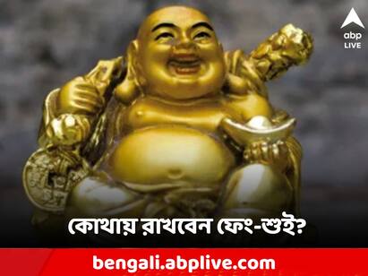 Feng Shui idols remedies where to put in home and room Feng Shui Remedies: ঘরে এই নিয়ম রাখুন ফেং-শুই, অর্থ থেকে উন্নতি, বদল আসতে পারে জীবনে