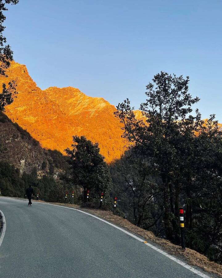 उत्तराखंड में मौजूद चोपटा आइस फॉरेस्ट के नाम से जानी जाती है. यह जगह चारों ओर से बर्फ से ढ़की होती है. यहां पर आप ट्रैकिंग का भी आनंद ले सकते हैं. चोपटा दोस्तों के साथ घूमने के लिए एक बेहतरीन पर्यटक स्थल है.