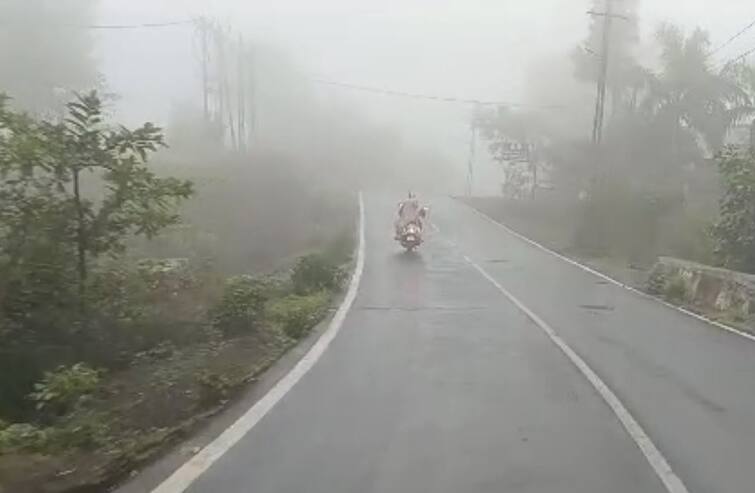 Gujarat Rain  Rain has started in many parts of the gujarat following the forecast of the Meteorological Department Gujarat Rain: હવામાન વિભાગની આગાહીના પગલે રાજ્યના અનેક વિસ્તારોમાં શરુ થયો વરસાદ