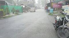 Konkan Rains : तळकोकणात दमदार पावसाची हजेरी, बळीराजा सुखावला