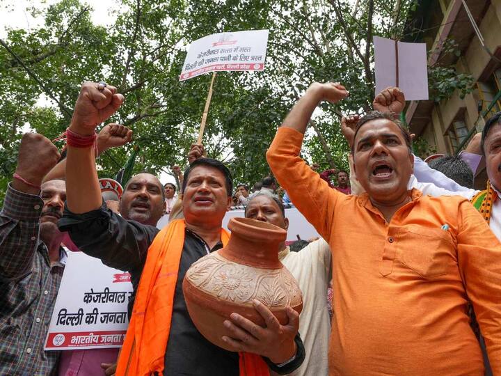 Delhi BJP members staged protests against the Delhi government over water problems in the city on Saturday. (Source: PTI)