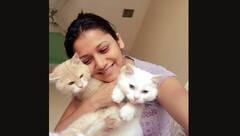 Jui Gadkari : मांजरप्रेमी जुई गडकरी! पडद्यावरची सायली घरी आहे मनीमाऊंची आई!