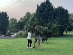 Watch: पेट्स के साथ खेलते दिखे धोनी और जीवा, वाइफ साक्षी सिंह ने शेयर किया दिलचस्प वीडियो