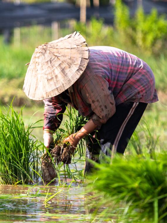 किस राज्य के किसान हैं सबसे अमीर, जानें वजह?