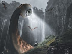 दूसरी दुनिया के माने जाते हैं ये पौधे, इनकी Photo देख कर आप खुद समझ जाएंगे