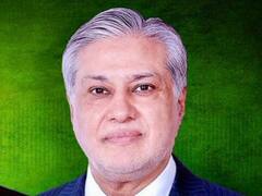 पाकिस्तानी जर्नलिस्ट ने IMF को लेकर पूछा सवाल तो गुस्साए इशाक डार, हाथापाई पर हो गए उतारू, देखें वीडियो