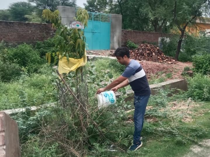 Rajasthan Engineering Students planted more than 5000 saplings with their own pocket money in Bhilwara ann Rajasthan: इंजीनियरिंग छात्रों ने पर्यावरण संरक्षण के लिए शुरू की खास मुहिम, जेब खर्च से लगा चुके हैं हजारों पौधे