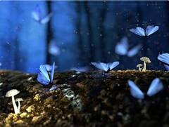 ਇਹ ਉਹ ਜੀਵ ਹਨ ਜੋ ਕਦੇ ਨਹੀਂ ਸੌਂਦੇ, ਇੱਕ ਤਾਂ ਬਰਫ਼ ਵਿੱਚ ਵੀ ਜੰਮ ਕੇ ਨਹੀਂ ਮਰਦਾ !