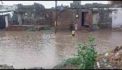 Gujarat Rain: ભાવનગર જિલ્લામાં પ્રથમ વરસાદમાં જ જળબંબાકાર, અનેક જગ્યાએ પાણી ભરાતા તંત્રની પોલ ખુલી