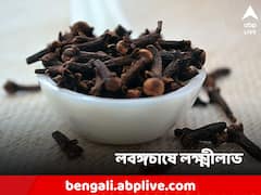 লক্ষ্মীলাভ করতেও ভরসা উপকারী লবঙ্গ! লাভ পাবেন চাষিরা