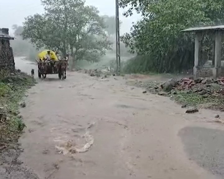 Gujarat Monsoon: રાજ્યના આ વિસ્તારોમાં આગામી ત્રણ કલાક સામાન્યથી મધ્યમ વરસાદની આગાહી