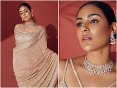 Samyuktha Menon Photos : శారీలో సంయుక్తా - ఆ సొగసు చూడబ్బా!