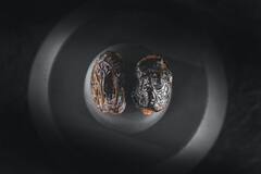 Dates Benefits : பேரிச்சம்பழத்தில் இவ்வளவு சத்துகள் இருக்கா? தினமும் ஒன்னு சாப்பிட்டா இவ்ளோ நன்மைகளா?