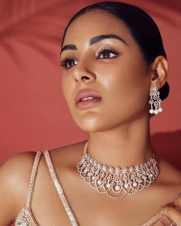 సంయుక్తా మీనన్ (Image Courtesy : iamsamyuktha_ / Instagram)
