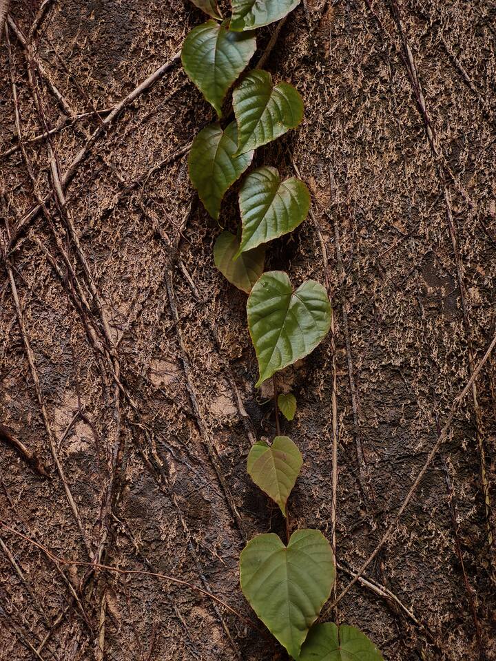तोच बेनझीर व्हिला आज अस्तित्वासाठी संघर्ष करत आहे.
