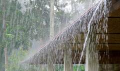 Monsoon: पावसाळ्यात 'या' भाज्या खाणं टाळा; नाहीतर बिघडेल आरोग्य