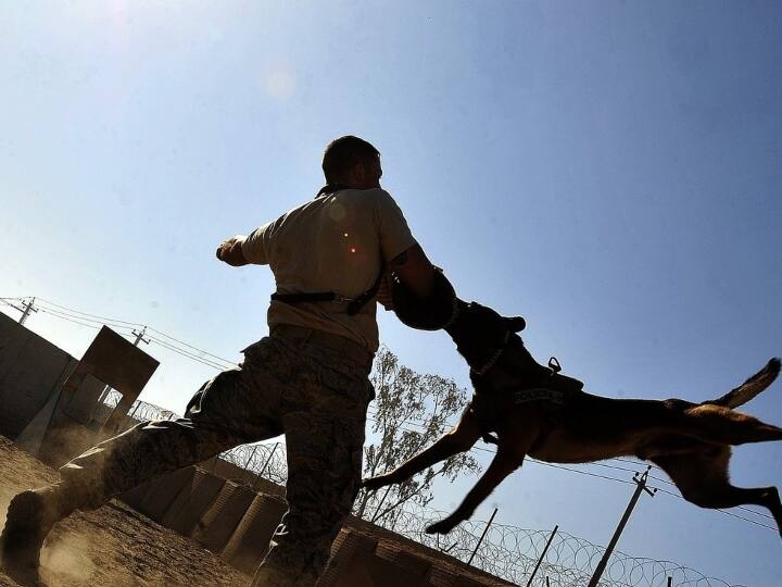 शोध के मुताबिक UV लेवल बढ़ने पर डॉग बाइट के मामलों में 11 प्रतिशत, गर्म दिनों में 4 प्रतिशत और ओजोन लेवल अधिक होने पर 3 प्रतिशत तक बढ़ोत्तरी हो जाती है. बरसात के दिनों में इसमें 1 प्रतिशत का इजाफा होता है.