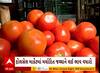 Ahmedabad | હવે ટામેટા ખાવા બન્યા મોંઘા, ભાવ પહોંચ્યા આસામાને; જાણો શું છે ભાવ વધારાનું કારણ?