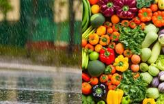 Monsoon: पावसाळ्यात 'या' भाज्या खाणं टाळा; नाहीतर बिघडेल आरोग्य