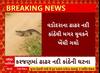 Vadoara Crocodile Attack : વડોદરાની ઢાઢર નદીમાં મગર યુવકને ખેંચી જતાં મોત, જુઓ અહેવાલ