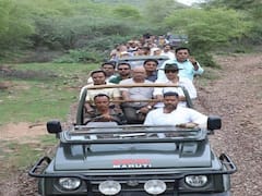 रामगढ़ विषधारी टाइगर रिजर्व में राजस्थान की तीसरी जंगल सफारी शुरू, पर्यटक कर सकेंगे यहां बाघों का दीदार