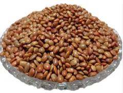 ਹਰ ਰੋਗ ਨੂੰ ਖ਼ਤਮ ਕਰ ਦਿੰਦੀ ਇਹ ਖ਼ਾਸ ਦਾਲ, ਜਾਣੋ ਕਿਵੇਂ ਕਰਦੇ ਇਸ ਦਾਲ ਦੀ ਖੇਤੀ