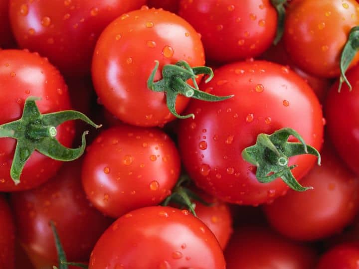 टमाटर (Tomatoe) वैसे तो लाल ही होता है, लेकिन इस वक्त वो अपनी कीमत की वजह से ज्यादा लाल हो गया है. एक किलो टमाटर खरीदने के लिए लोगों को 100 रुपये तक खर्च करने पड़ रहे हैं.