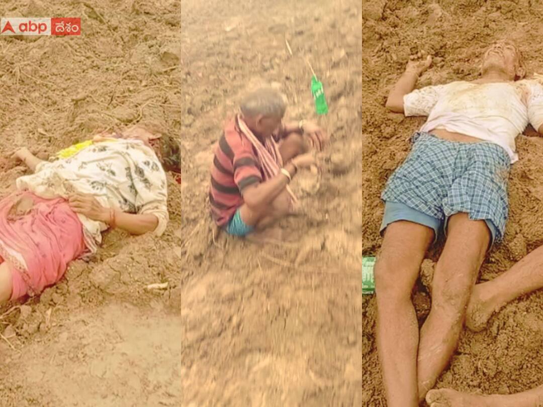 Kumuram Bheem Asifabad 3 people dies in land dispute attacks with axe and Knife Asifabad: భూతగాదాలతో గొడ్డళ్లు, కత్తులతో దాడి చేసుకున్న రెండు వర్గాలు- ముగ్గురు మృతితో భయానక పరిస్థితి