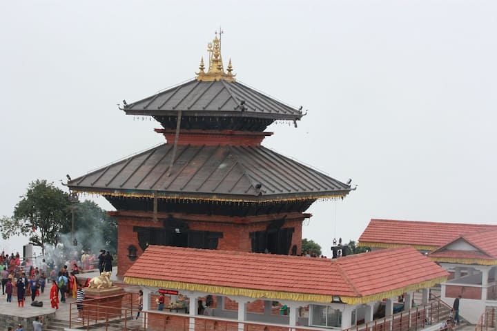 Nepal Pashupatinath temple: सोन्याच्या तपासासाठी रविवारी पशुपतीनाथाचं मंदिर भाविकांसाठी ठेवलं होतं बंद