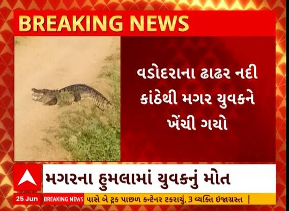 Vadodara| કરજણમાં નદી કાંઠેથી 30 વર્ષના યુવકને મગર ખેંચી ગ્યો, યુવકનું મોત