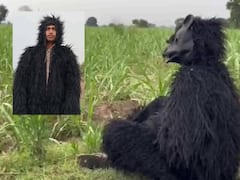 కోతుల నుంచి పంటను కాపాడుకునేందుకు ఎలుగుబంటి వేషం, ప్రతి కుటుంబం నుంచి రోజుకొకరు