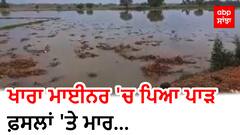 Punjab News : ਖਾਰਾ ਮਾਈਨਰ 'ਚ ਪਿਆ ਪਾੜ, ਫ਼ਸਲਾਂ 'ਤੇ ਮਾਰ