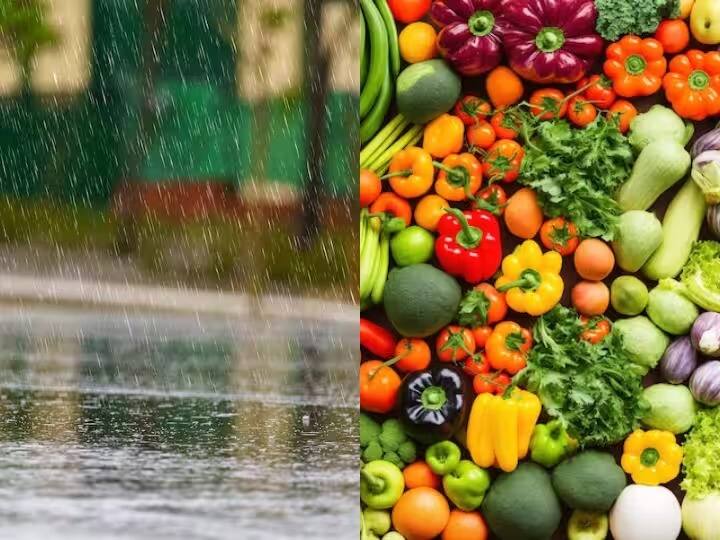 Monsoon Health Tips : मान्सून सुरु झाला असून रखरखत्या उन्हापासून दिलासा मिळाला आहे. पण, पावसाळ्यामध्ये आरोग्याची काळजी घेण्याची अधिक गरज असते.