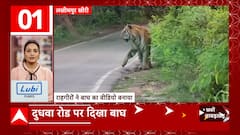 TOP News : देखिए आज दिन की सभी बड़ी खबरें धुआंधार अंदाज में... | TOP Headlines | Uttarakhand UP News