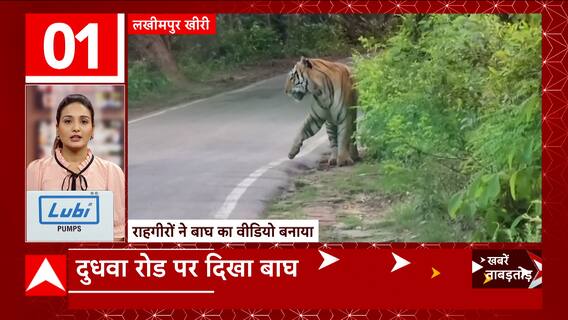 TOP News : देखिए आज दिन की सभी बड़ी खबरें धुआंधार अंदाज में... | TOP Headlines | Uttarakhand UP News