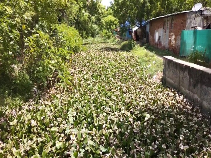 Mayiladuthurai: ‘ஆற்றை நல்லா தூர்வாருராங்கய பேருக்கு’ - சீர்காழி விவசாயிகள் விரக்தி