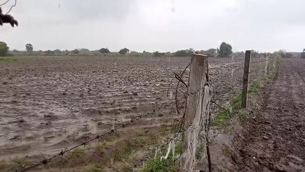 Gujarat Monsoon: ગુજરાતમાં વરસાદને લઈ હવામાન વિભાગે ક્યાં આપ્યું યલો અને ઓરેન્જ એલર્ટ ? જાણો