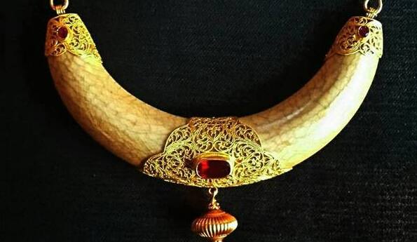 जुन्या काळातही राजघराण्यातील लोकांमध्ये हस्तिदंतापासून बनवलेल्या दागिन्यांची क्रेझ होती, त्यामुळे तेव्हाही या दागिन्यांना खूप मागणी होती. बर्‍याच ठिकाणी हस्तिदंत हा सामान्य संस्कृतीचा एक भाग होता.