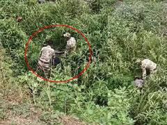 पोलिसांच्या हाताला हिसका देऊन पळाला पण नाल्यात जाऊन अडकला; गणवेशासह पोलीस उतरले नाल्यात