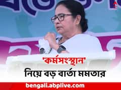 'রাজ্যেই কর্মসংস্থান হবে...', পঞ্চায়েত ভোটের আগে বড় বার্তা মমতার 