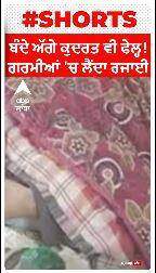 Viral Video । ਬੰਦੇ ਅੱਗੇ ਕੁਦਰਤ ਵੀ ਫੇਲ੍ਹ! ਗਰਮੀਆਂ ਚ ਲੈਂਦਾ ਰਜਾਈ