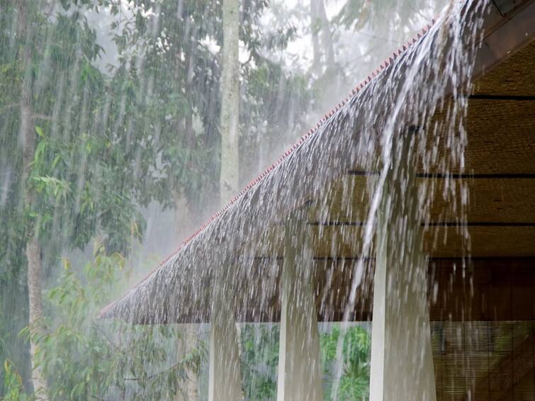 Marathwada Rain Update Chance of heavy rain in three districts of Marathwada today Marathwada Rain Update: मराठवाड्यातील 'या' तीन जिल्ह्यात आज जोरदार पावसाची शक्यता