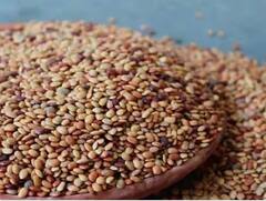 ਹਰ ਰੋਗ ਨੂੰ ਖ਼ਤਮ ਕਰ ਦਿੰਦੀ ਇਹ ਖ਼ਾਸ ਦਾਲ, ਜਾਣੋ ਕਿਵੇਂ ਕਰਦੇ ਇਸ ਦਾਲ ਦੀ ਖੇਤੀ