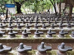 Theni: சுற்றுலா மட்டுமல்ல பக்தியும்தான்! சுருளி அருவிக்கு இன்னொரு அடையாளமும் இருக்கு..!