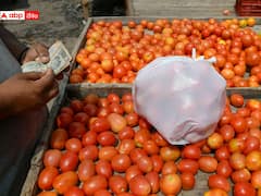 Tomato Price Hike: మండుతున్న టమాటా ధరలు, త్వరలో రూ.100 మార్క్ దాటడం కన్ఫామ్! కారణం ఏంటంటే